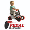 2020-BERG-GO2-SparXRed-pedal-mode_SOIM9TJP3GW9.jpg